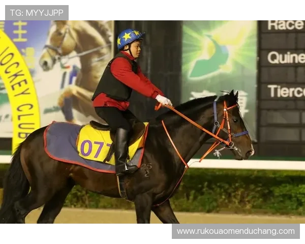 全面解析澳门赛马排位表,最新资料揭秘赛季亮点与竞争格局