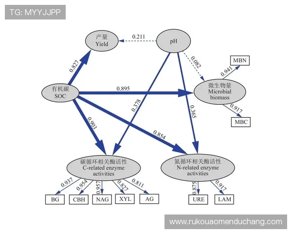 分析bg视讯官网平台的支付方式多样性与快速提现流程提升资金流转效率